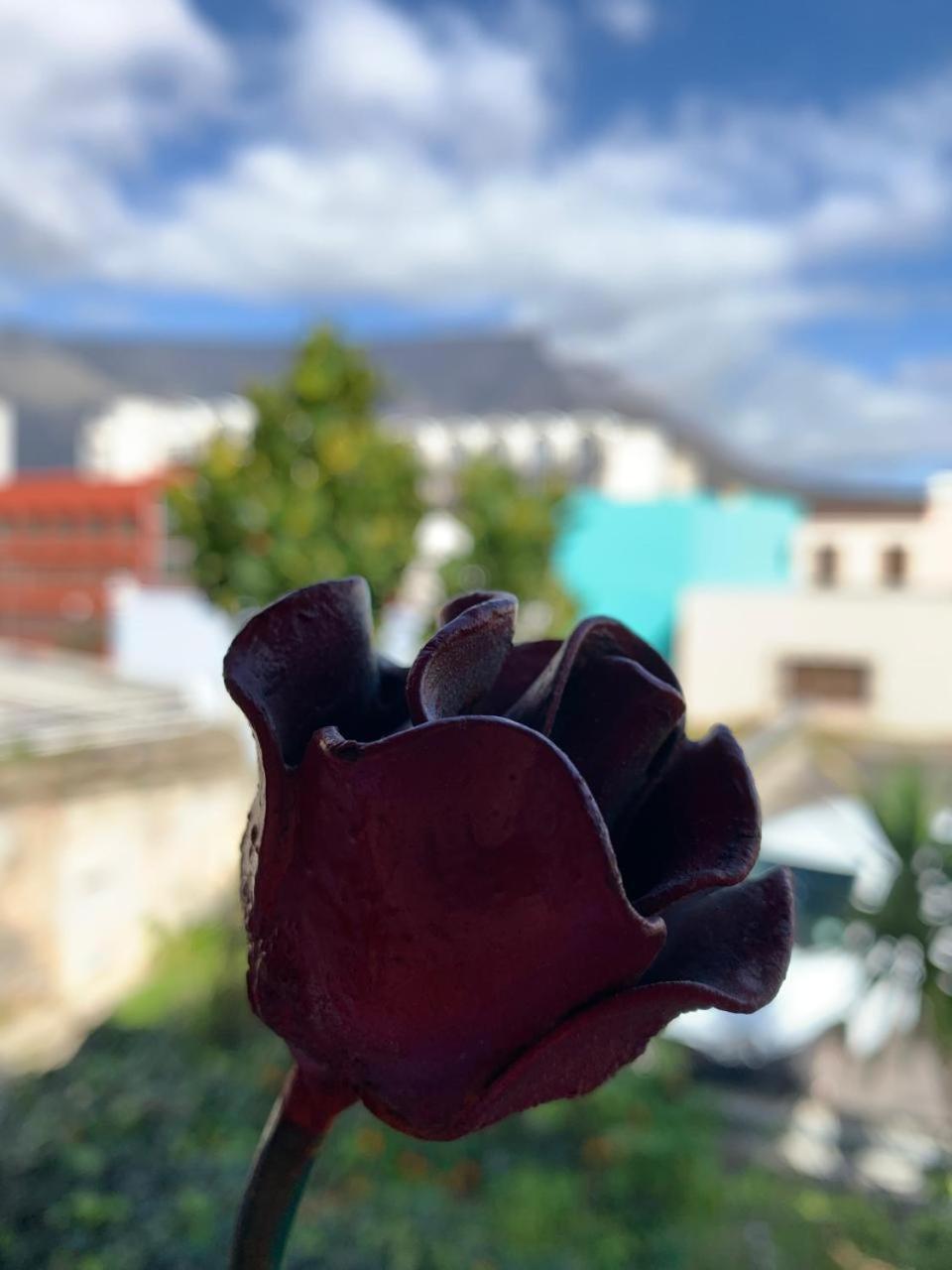 La Rose Frühstückspension